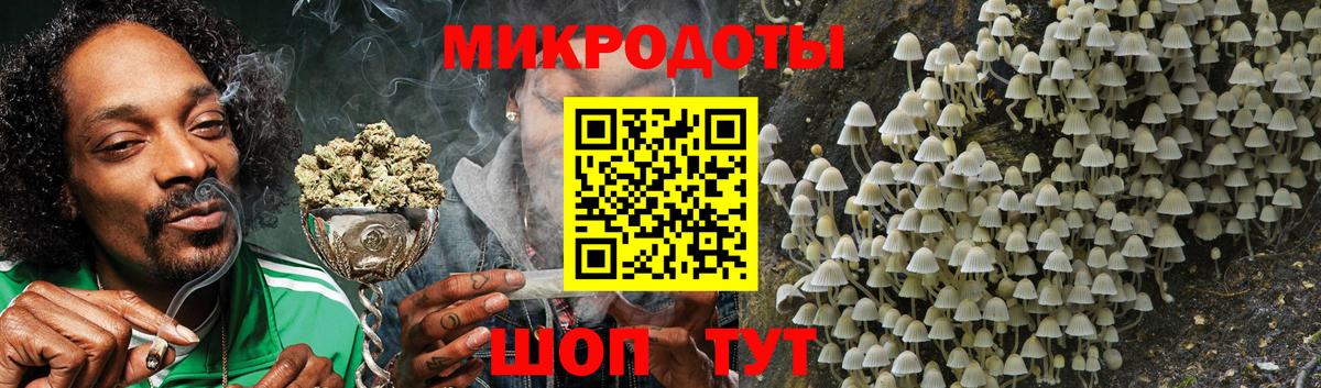 Галлюциногенные грибы GOLDEN TEACHER  купить закладку  Галлюциногенные грибы Cubensis  Балтийск  Вход с VPN 