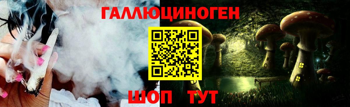 Галлюциногенные грибы Psilocybine cubensis Балтийск